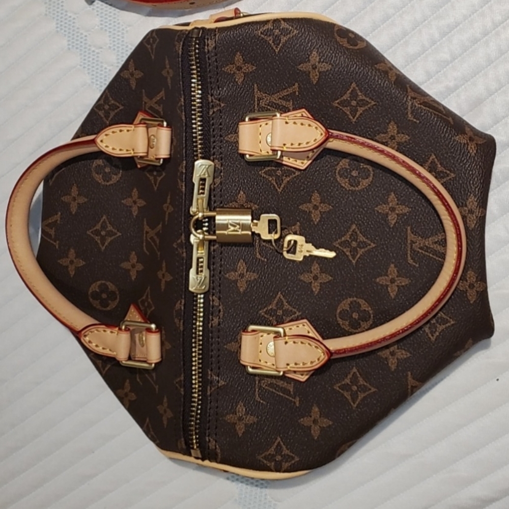 Inspired speedy 25 size bag